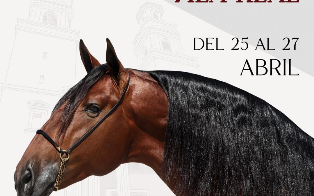 II Concurso morfológico de Caballos PRE de Vila Real