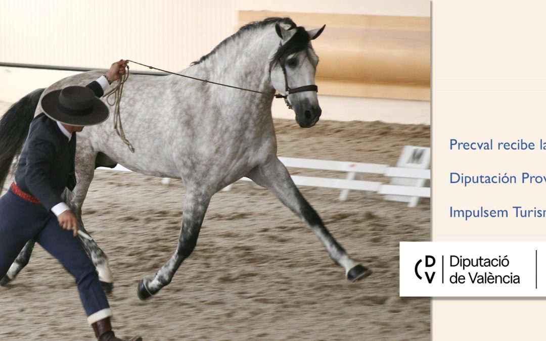 Precval recibe la ayuda de la Diputación Provincial de Valencia. Impulsem Turisme 2025
