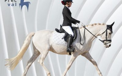 Concurso de doma clásica puntuable para la Copa Precval en el PONI CLUB DE CASATELLÓ