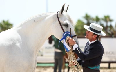 Campeonato de Europa de Caballos PRE – Fiecval 2026