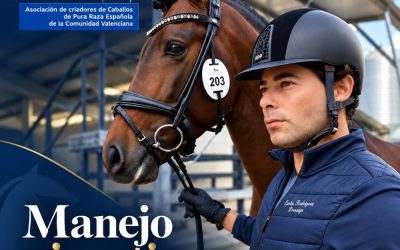 Curso de manejo pie a tierra y trabajo a la cuerda