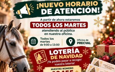 Nuevo horario y lotería de navidad